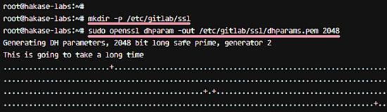 DHPARAM-Zertifikat mit openssl generieren