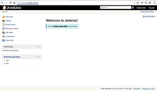 Jenkins Master installieren