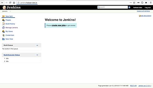 Jenkins testen