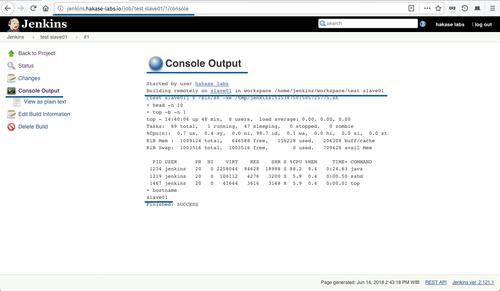 Jenkins Skript Ergebnisausgabe