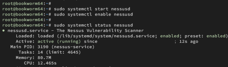 Verifizierung von Nessus starten