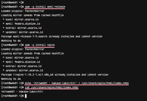 epel repo und nginx installieren