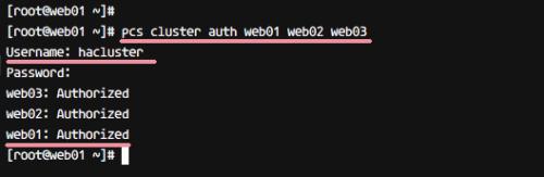 Erstellen und Konfigurieren des Clusters