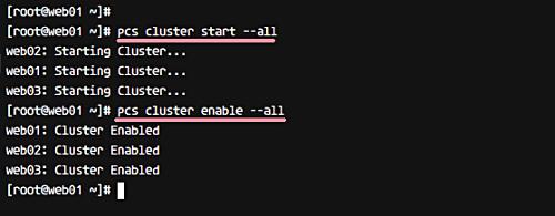 Starten Sie den Cluster