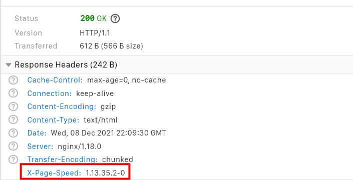 Nginx Pagespeed Modul