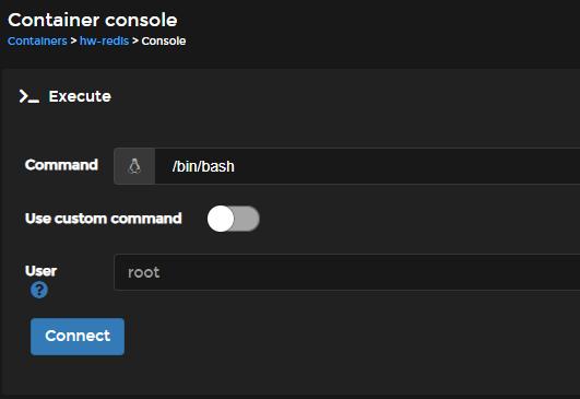 Portainer Container Konsole Konfiguration