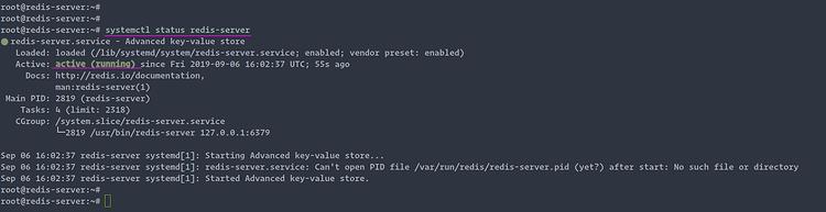 Redis-Server starten