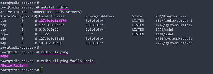 Ping Redis Server, um es zu testen.
