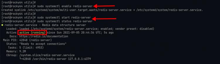 Starte und aktiviere den Redis-Dienst