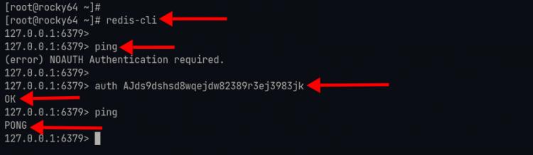 Mit dem Redis-Server verbinden, Authentifizierung prüfen und Ping-Befehl testen