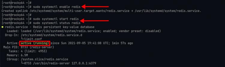 Starte und aktiviere den Redis-Dienst