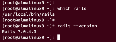 Schienenversion prüfen