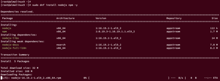 installiere node.js und npm