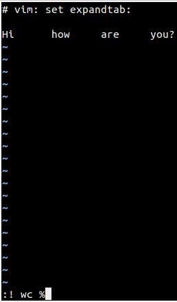 Befehl bereit zur Ausführung in VIM