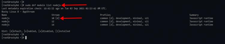 Node.js-Repository-Modul Rocky Linux prüfen