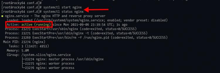 Nginx-Dienst starten und Status prüfen