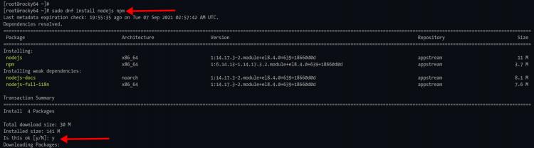Installation von Node.js und NPM-Paketen