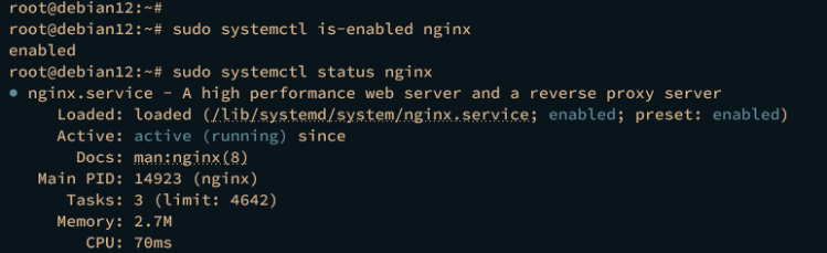 nginx überprüfen