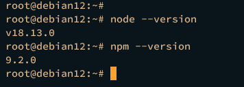 verifizieren node.js npm